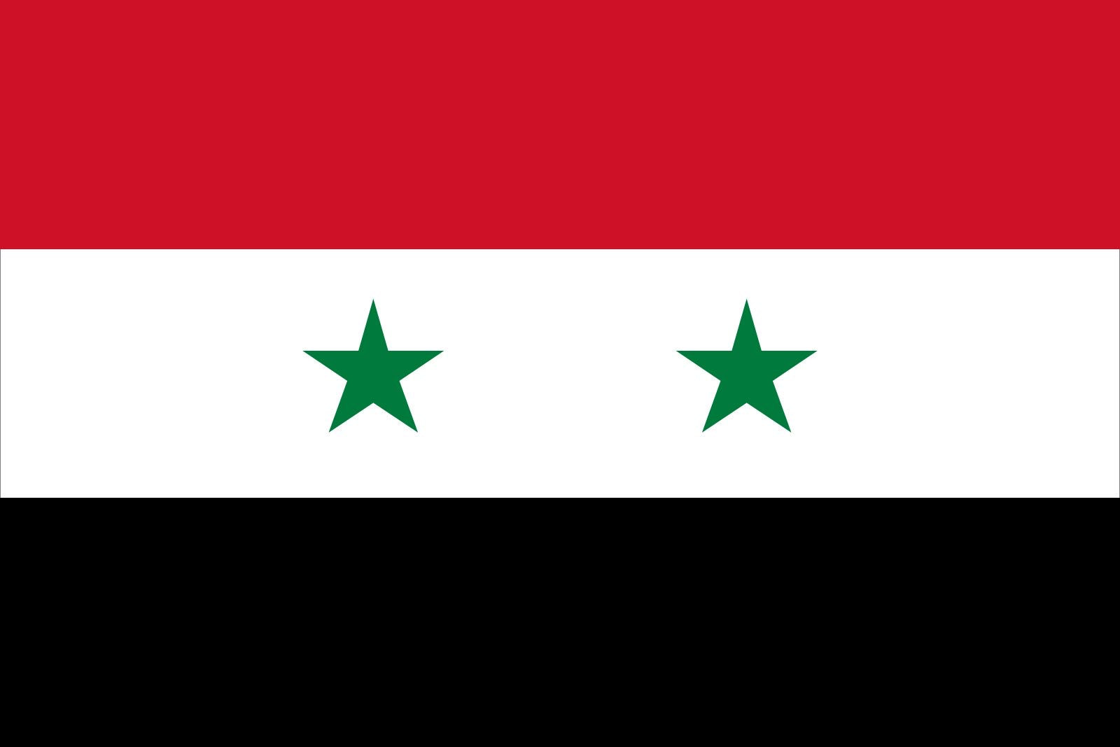 Syria Flag (1980-2024)