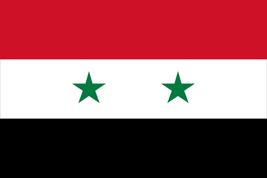 Syria Flag (1980-2024)